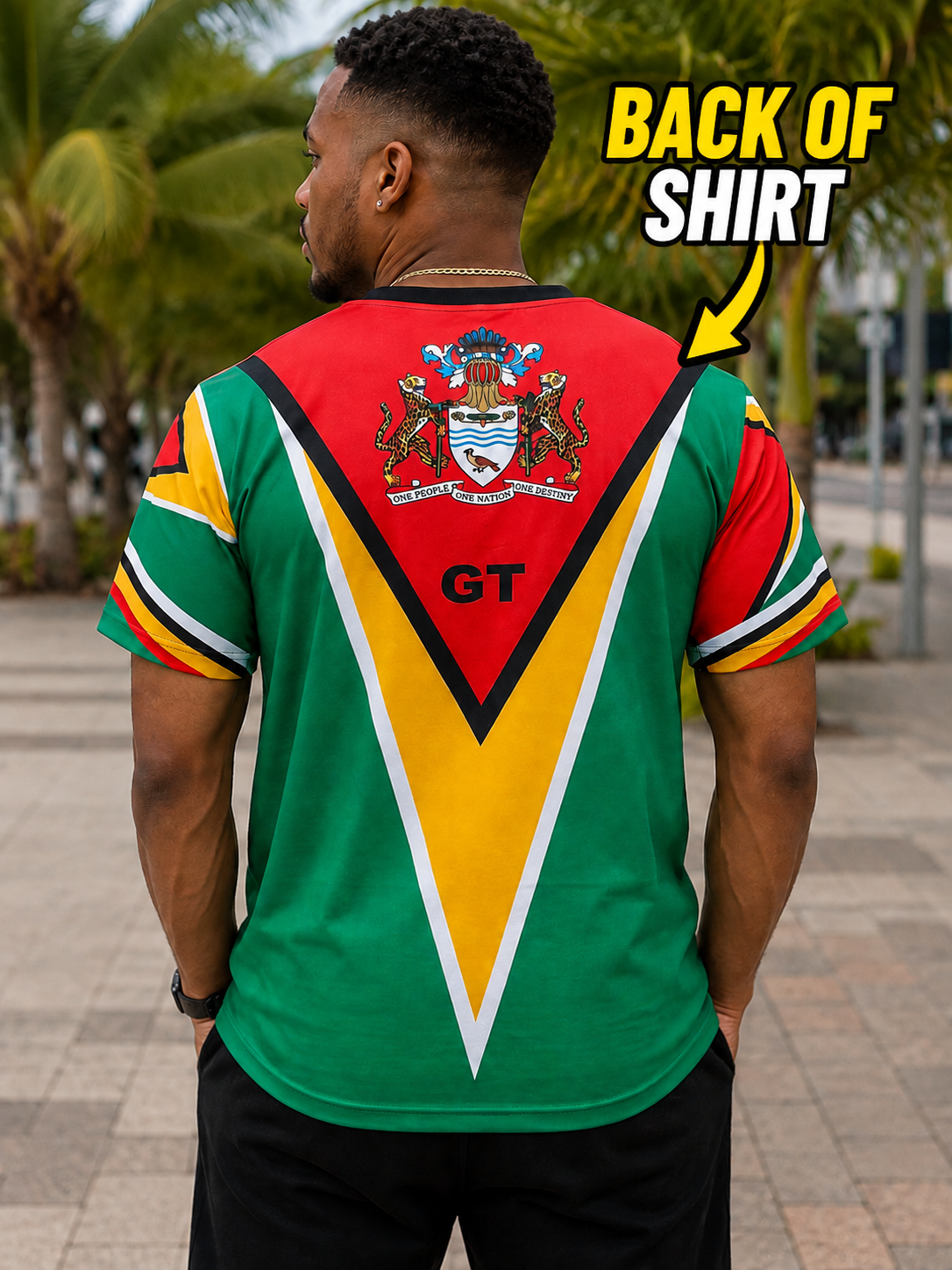 A man viewed from behind wearing a short-sleeve athletic-style shirt with a bold red, yellow, and green V-shaped design and a crest graphic on the upper back. The shirt also has multicolor stripes on the sleeves and 'GT' printed below the crest.
