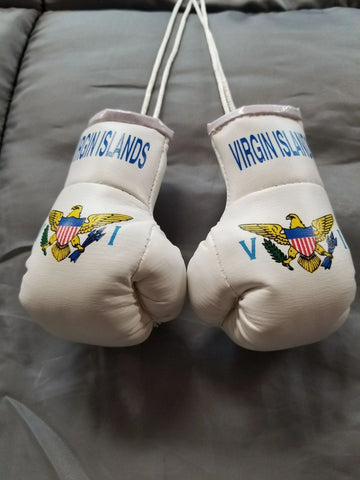 Small Virgin islands boxing gloves for car