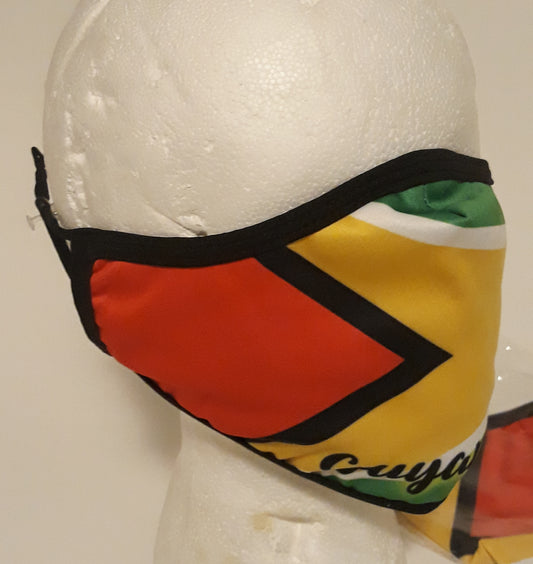 Guyana flag Face Mask