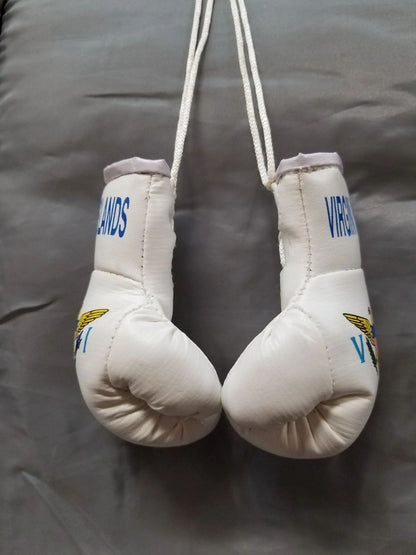 Small Virgin islands boxing gloves for car