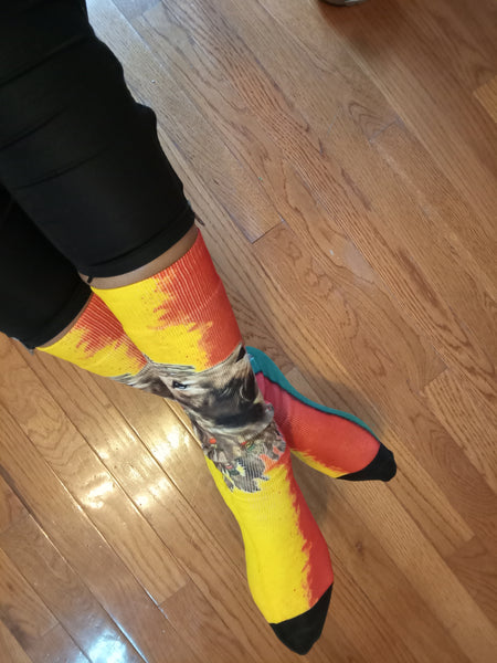 Rasta Socks - Lion with headphones